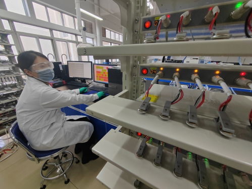 中國(guó)首創(chuàng)！洛陽(yáng)牡丹殼變廢為寶，開啟鈉電池負(fù)極材料新紀(jì)元